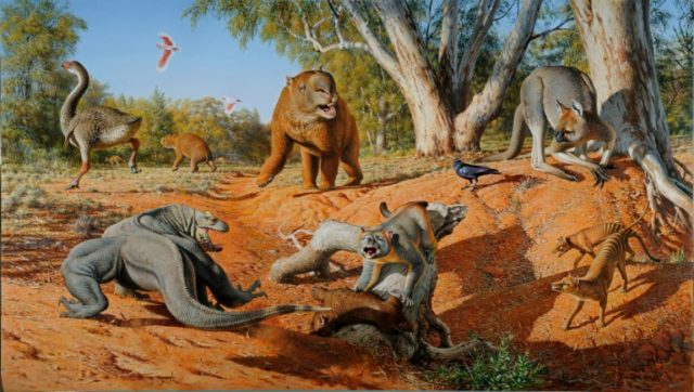 This image obtained from Monash University shows an artists impression of a menagerie of m