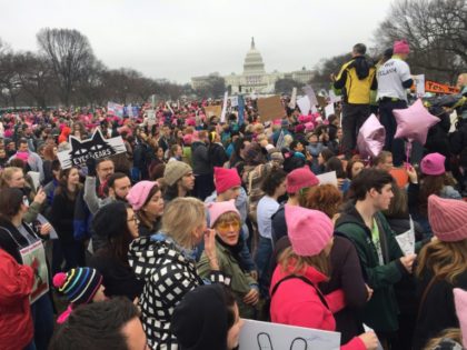 Demonstrators arrive on the National Mall in Washington, DC, for the anti-Trump Women's Ma