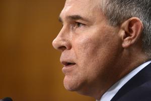 White House orders freeze on EPA grants, media blackout