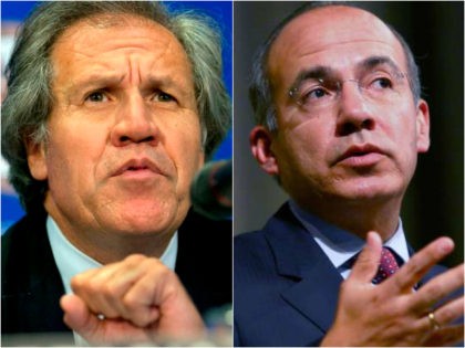 Organization of American States (OAS) head Luis Almagro and former Mexican president Felip