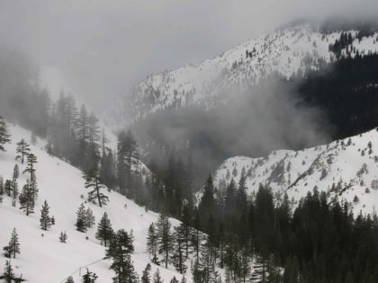 Sierra snow (Rich Pedroncelli / Associated Press)