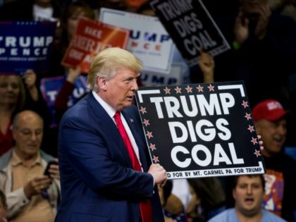 Republican presidential nominee Donald Trump holds a sign supporting coal during a rally at Mohegan Sun Arena in Wilkes-Barre, Pennsylvania on October 10, 2016. / AFP / DOMINICK REUTER (Photo credit should read DOMINICK REUTER/AFP/Getty Images)