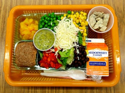 federal school lunch AP