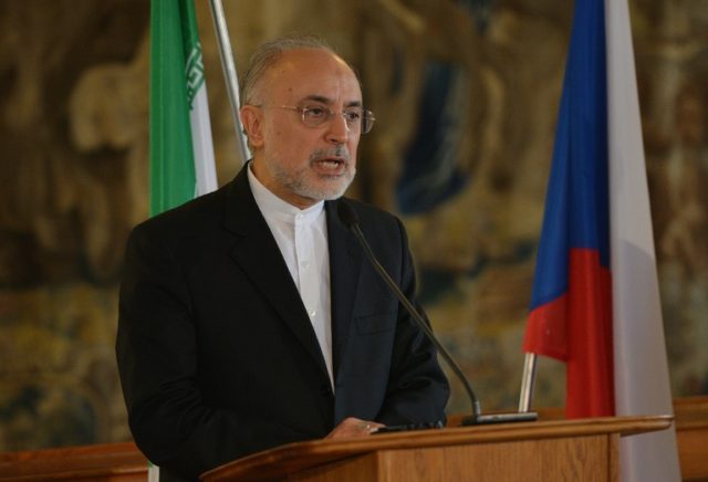 Ali Akbar Salehi, head of Iran's Atomic Energy Organisation, said Tehran wants to buy 950