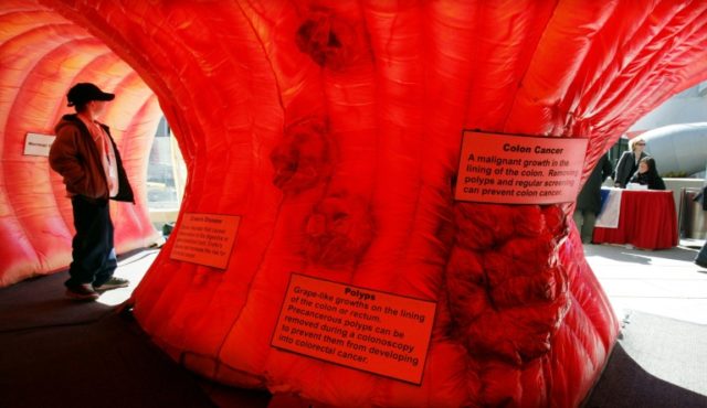 A boy stands inside an interactive replica of a human colon during Community Colon Cancer