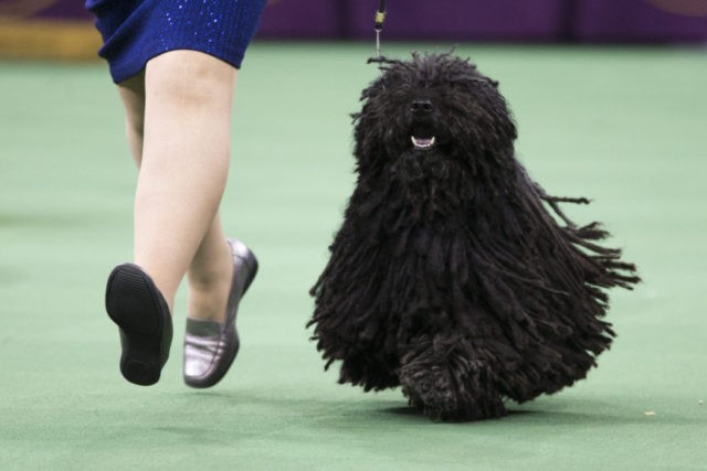 The Associated Press