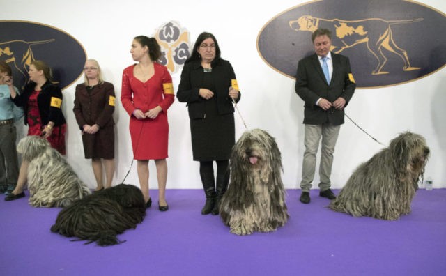 The Associated Press