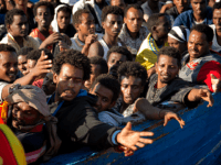 Migrants