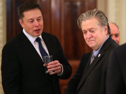 Elon Musk and Steve Bannon (Chip Somodevilla / Getty)
