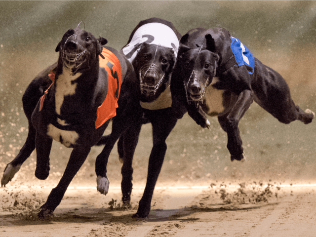 GettyImages-655547840