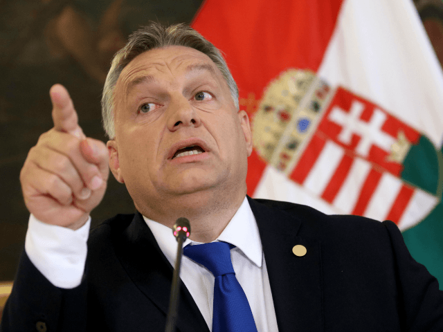 Image result for Viktor Orbán