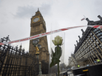 Westminster6