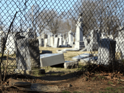 Stacy Biscardi searches the grounds of Mount Carmel Cemetery for a relatives' grave T