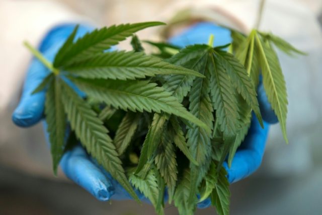 The partial decriminalisation of marijuana for personal use in Israel has been called "an