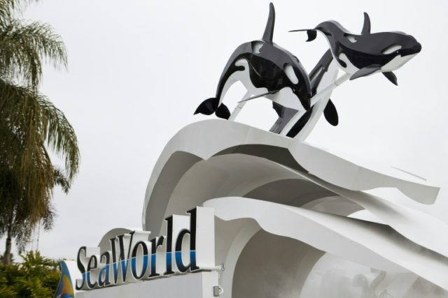 A Chinese firm has bought a 21 per cent stake in SeaWorld Entertainment, whose shows featu