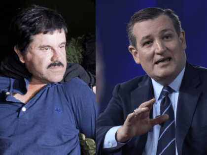 El Chapo and Ted Cruz