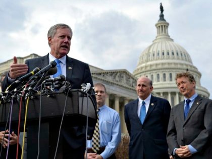 Freedom Caucus-Meadows-Susan WalshAP