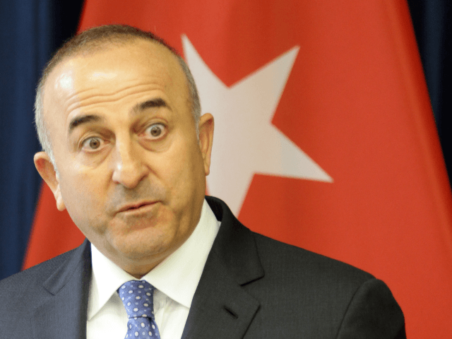 Turkish Foreign Minister Mevlut Cavusoglu gestures during a press conference with his Lith