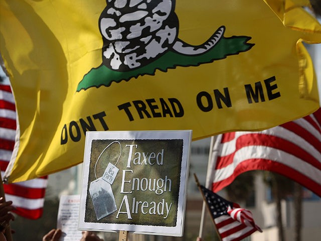 Demonstrators gather at an American Family Association (AFA)-sponsored T.E.A. (Taxed Enoug