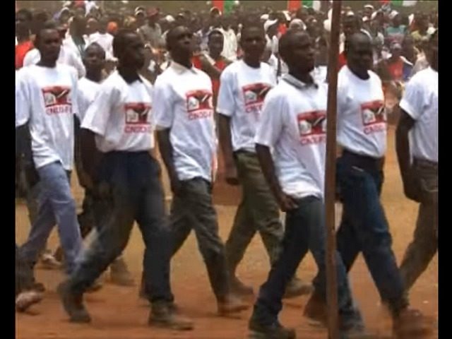 Burundi Youth Militia