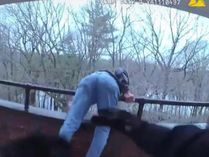 Body Cam Video Shows Officer Rescuing Man from Jumping off Roof