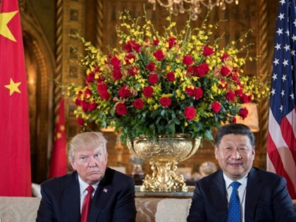 US President Donald Trump (L) sits with Chinese President Xi Jinping (R) during a bilateral meeting at the Mar-a-Lago estate in West Palm Beach, Florida, on April 6, 2017