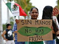 Day Without Immigrants Wilfredo LeeAP language