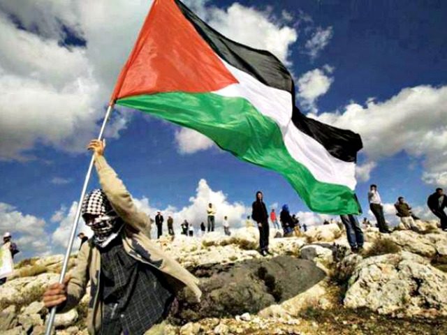 Palestinian with Flag AP