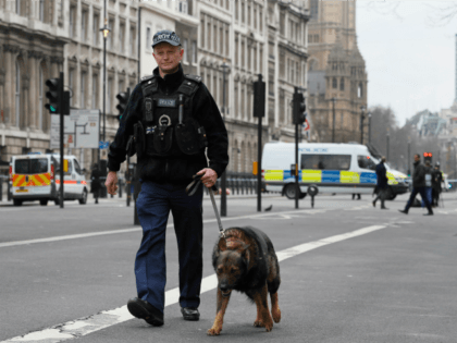A police dog handler patrols on a road near the Houses of Parliament in London, Thursday March 23, 2017 on her way to the House of Parliament.