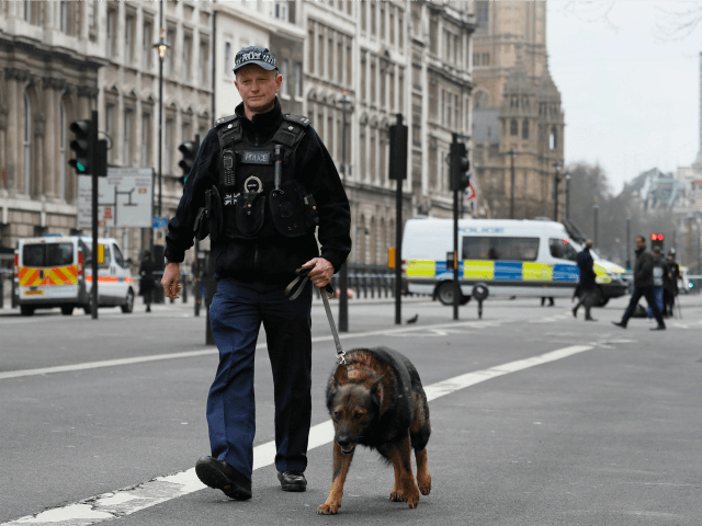 A police dog handler patrols on a road near the Houses of Parliament in London, Thursday M