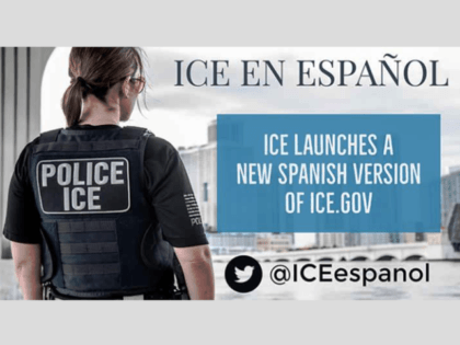 Spanish Language ICE Website