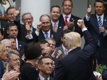 Trump Rose Garden Obamacare fist pump (Mark Wilson / Getty)