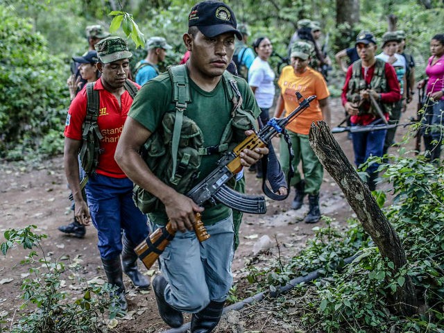 FARC guerrillas march in column during a review at their camp in the Transitional Standardization Zone in Pondores, La Guajira department, Colombia on April 3, 2017. The Colombian government reported that the FARC guerrillas provided a total list with the names of the 6,084 members of the rebel group who …