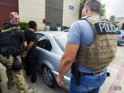 ICE Enforcement Removal Operations Officers
