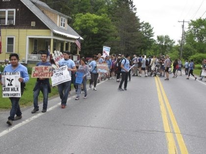 Scores of dairy farm workers and activists marching in Montpelier, Vt., on Saturday June, 17, 2017. They were marching to the main Ben & Jerry's factory in the Vermont town of Waterbury to protest what they feel are slow negotiations to reach a deal on their "Milk with Dignity" program …