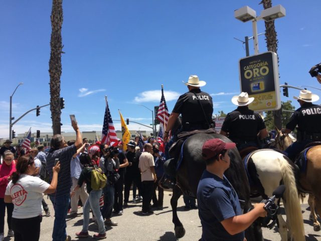 Anti-Sharia protest (Tim Donnelly / Breitbart News)