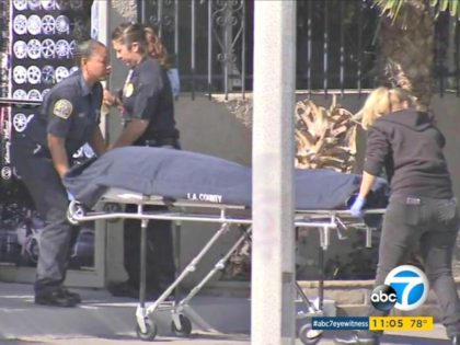 Body Car Audio Store ABC7