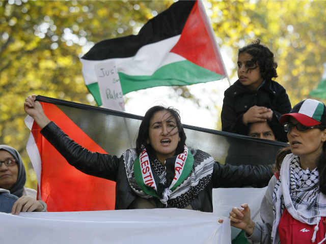 Pro-Palestinian BLM Rallies in U.S. Call for 'Death to Israel, Death to America'