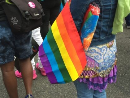 Gay Pride rainbow flag (Joel Pollak / Breitbart News)