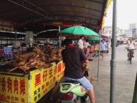 Yulin Dog Meat Festival, China