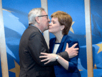 sturgeon