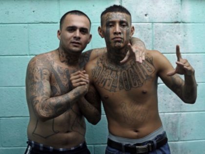 MS-18 Gang