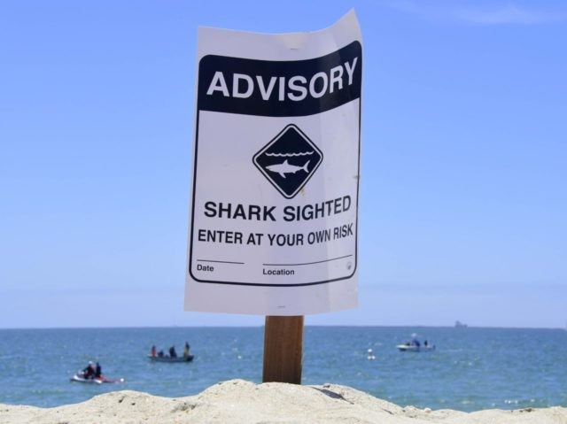 Shark attack notice Southern California (Frederic J. Brown / AFP / Getty)