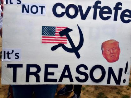 Sign- Not Covfefe Treason Truth Photo 4