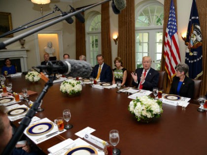 President Donald Trump hosts a working lunch with members of Congress, including Sen. Tom