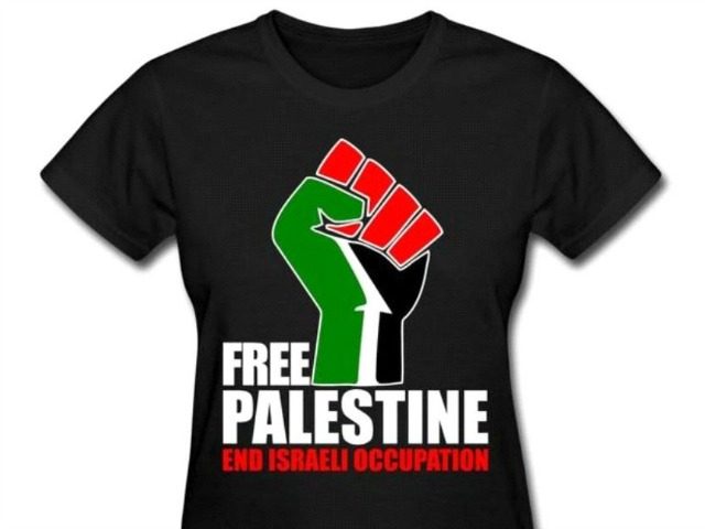 free palestine shirtl