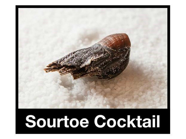 Severed Human Toe Served in Canadian Bar’s ‘Sourtoe Cocktail’ Is Stolen