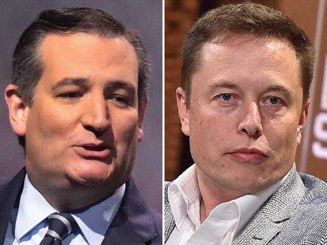 Ted Cruz and Elon Musk.