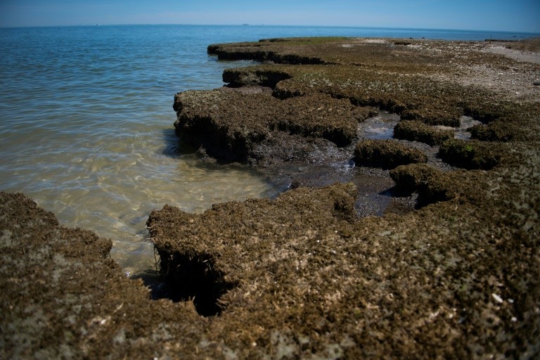 Off US coast, Tangier Island disappearing under water Breitbart