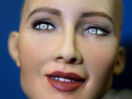 Sophia, a humanoid robot, is the main attraction at a conference on artificial intelligenc